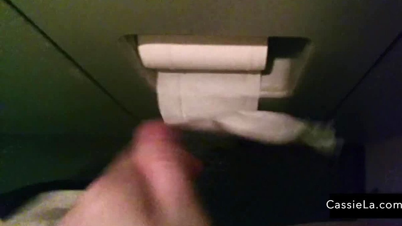 Pissing and using the airplane powder room - loud flush free porn